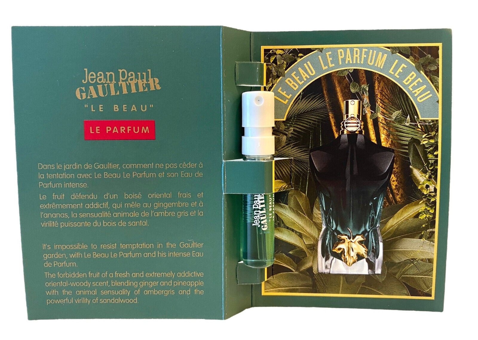 Jean Paul Gaultier Le Beau Le Parfum Intense campioni ufficiali di profumo